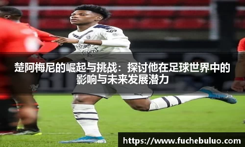 mk体育(MKsports集团)股份公司